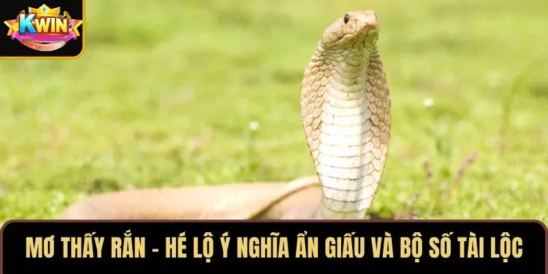 Mơ Thấy Rắn – Hé Lộ Ý Nghĩa Ẩn Giấu Và Bộ Số Tài Lộc