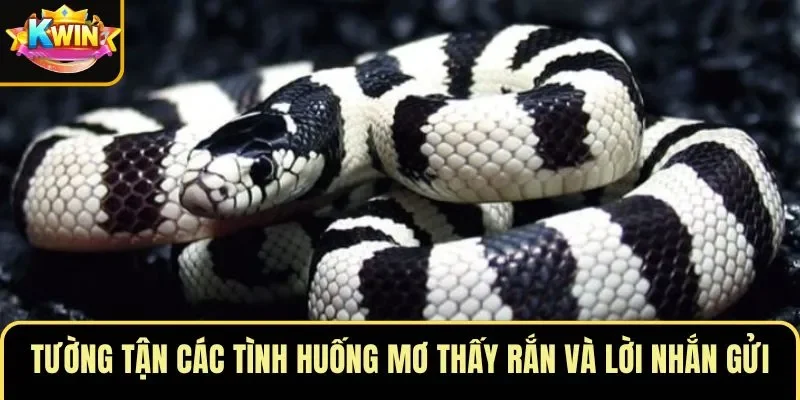 Tường tận các tình huống mơ thấy rắn và lời nhắn gửi